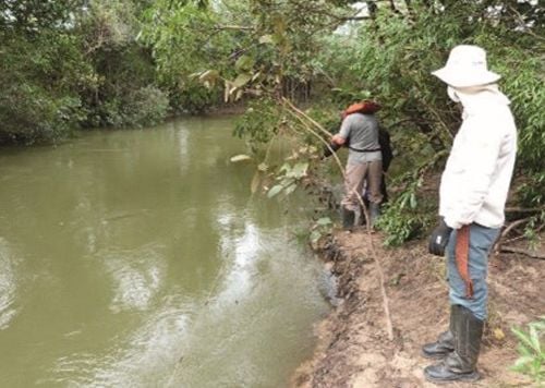 <h2><span style="color:#68471D;"><strong>Biomonitoramento</strong></span></h2><p><span style="color:#68471D;">O Rio Traíras foi também o ambiente para um estudo científico de biomonitoramento que utilizou um peixe – o <i>zebrafish</i> (<i>Daniorerio</i>), também conhecido como paulistinha – para avaliar a qualidade da água e sedimento dos rios. A escolha desse animal se deu porque o DNA dessa espécie é parecido com o dos seres humanos, de forma que, ao analisar o impacto da qualidade da água no organismo dos peixes, é possível associar esses efeitos ao corpo humano. Os resultados demonstraram a boa qualidade do Rio e destacou a importância do Legado na conservação dos recursos hídricos na região.</span></p>
