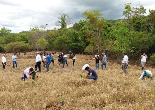 <h2><span style="color:#68471D;"><strong>Recuperação de nascentes</strong></span></h2><p><span style="color:#68471D;">Além da conservação da nascente do Rio Traíras, avançamos no cuidado com outros cursos d´água. Já promovemos, em parceria com a Federação da Agricultura e Pecuária de Goiás (FAEG) e com produtores rurais locais, a recuperação de diferentes nascentes fora dos limites da Reserva, com a plantação de 1,4 mil mudas nas regiões do Córrego Buriti, do Córrego do Taquari, e do Rio Traíras. As mudas utilizadas foram todas produzidas em nosso Centro de Biodiversidade.</span></p>