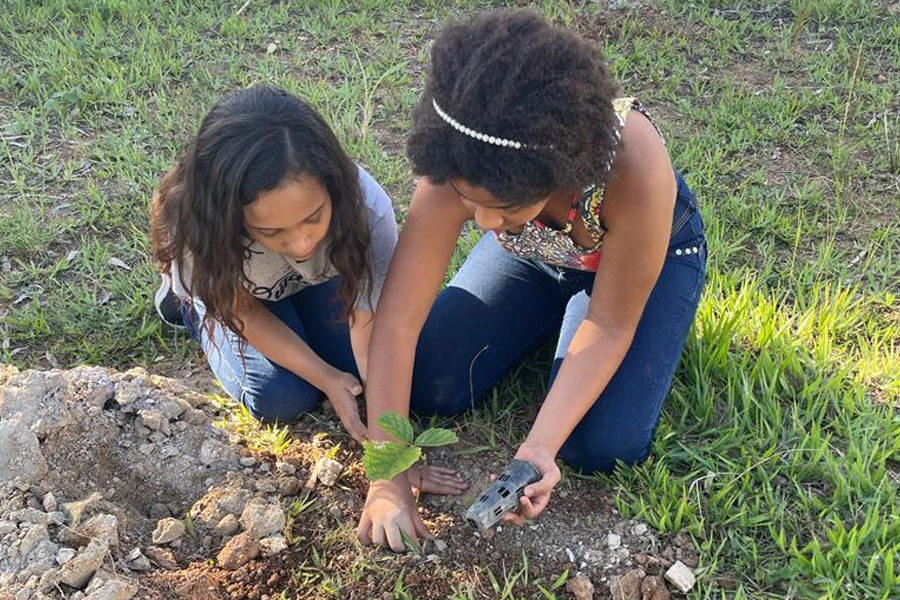 Meninas plantando mudas em escolas públicas de Niquelândia